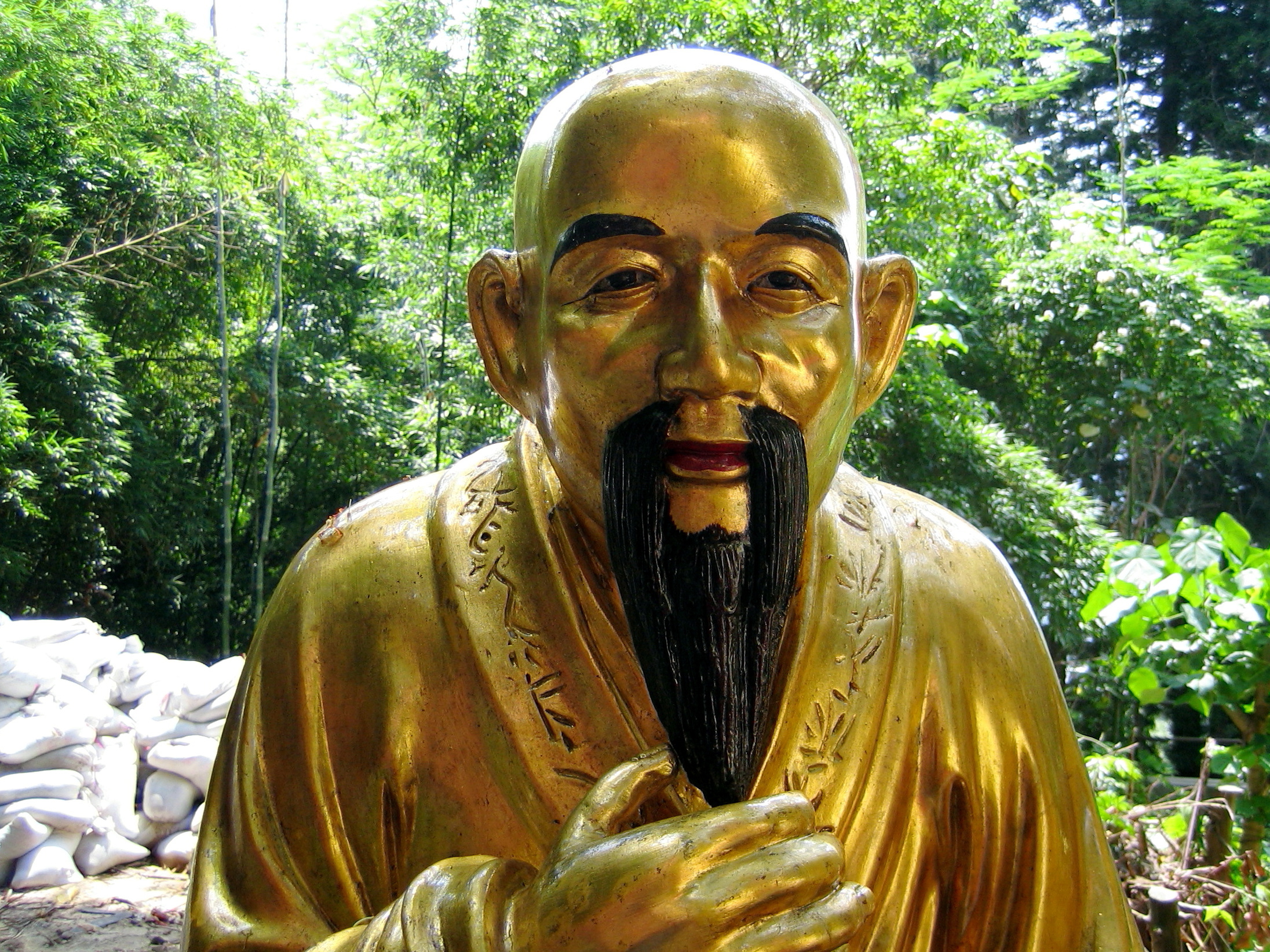 Man Fat Tze Buddha Closeup