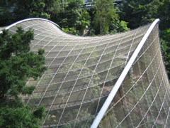 Hong Kong Park Aviary