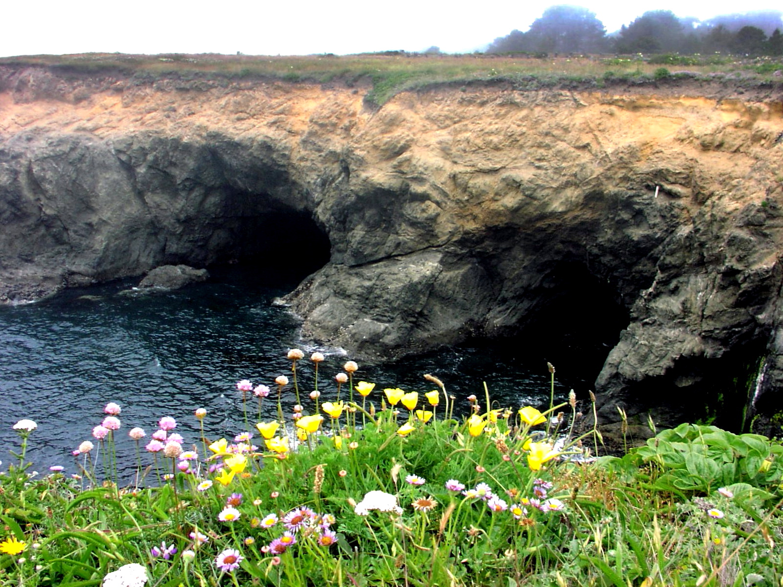 Mendocino Headlands