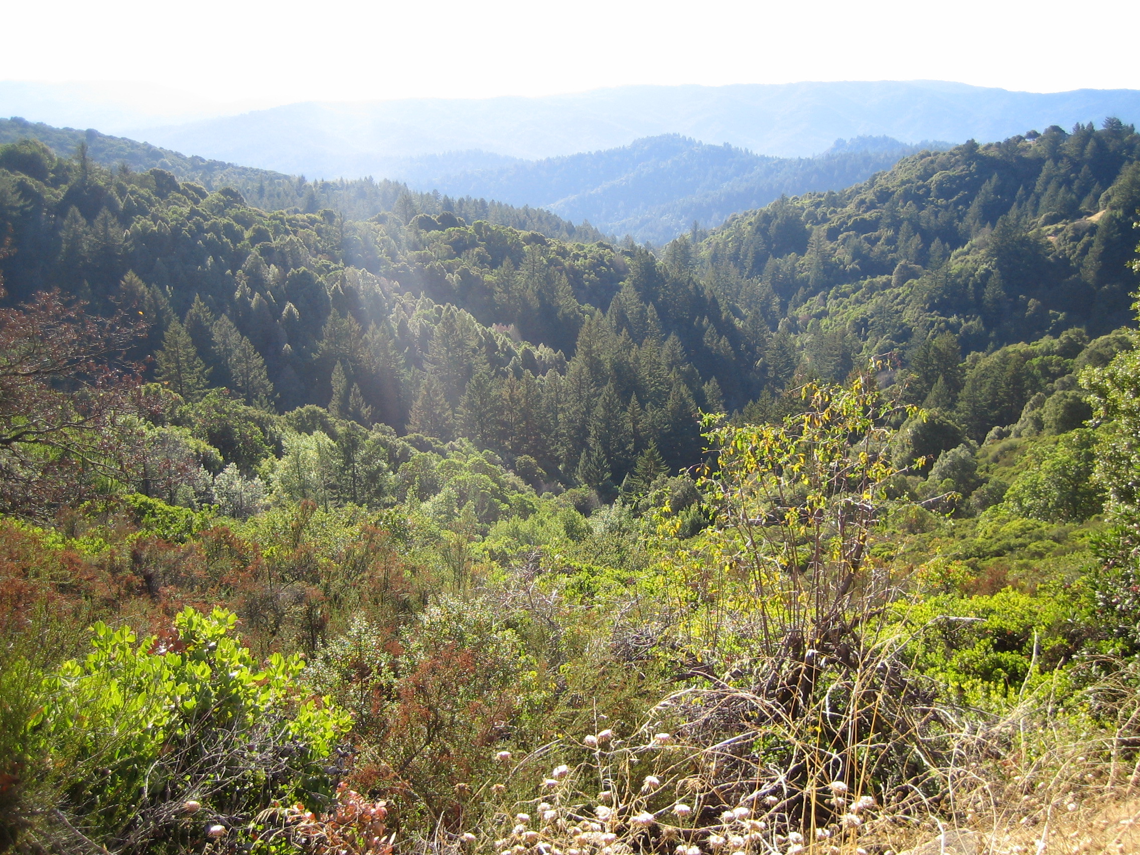 Valley Near Castle Rock