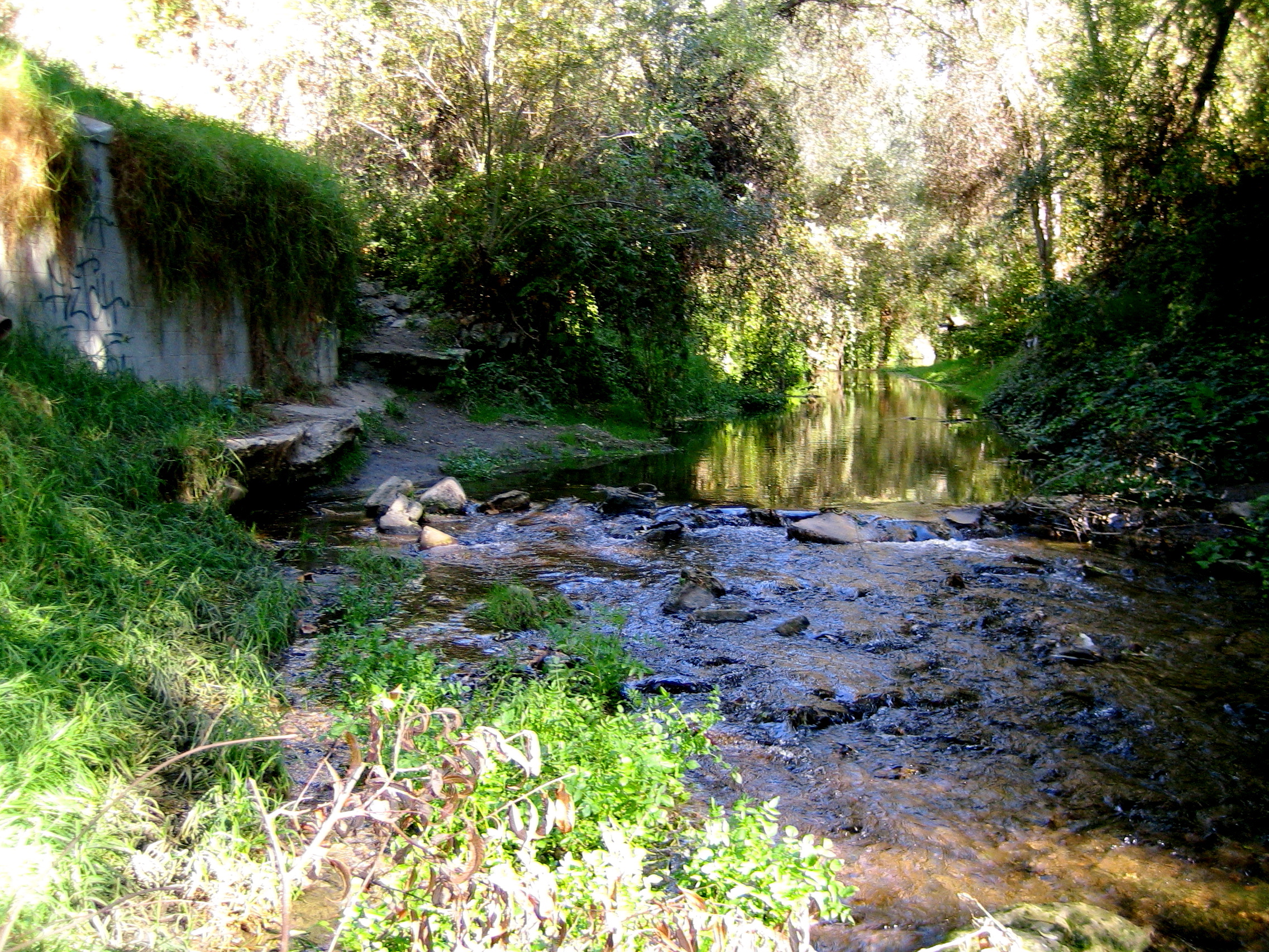 Stream sort of near Solvang