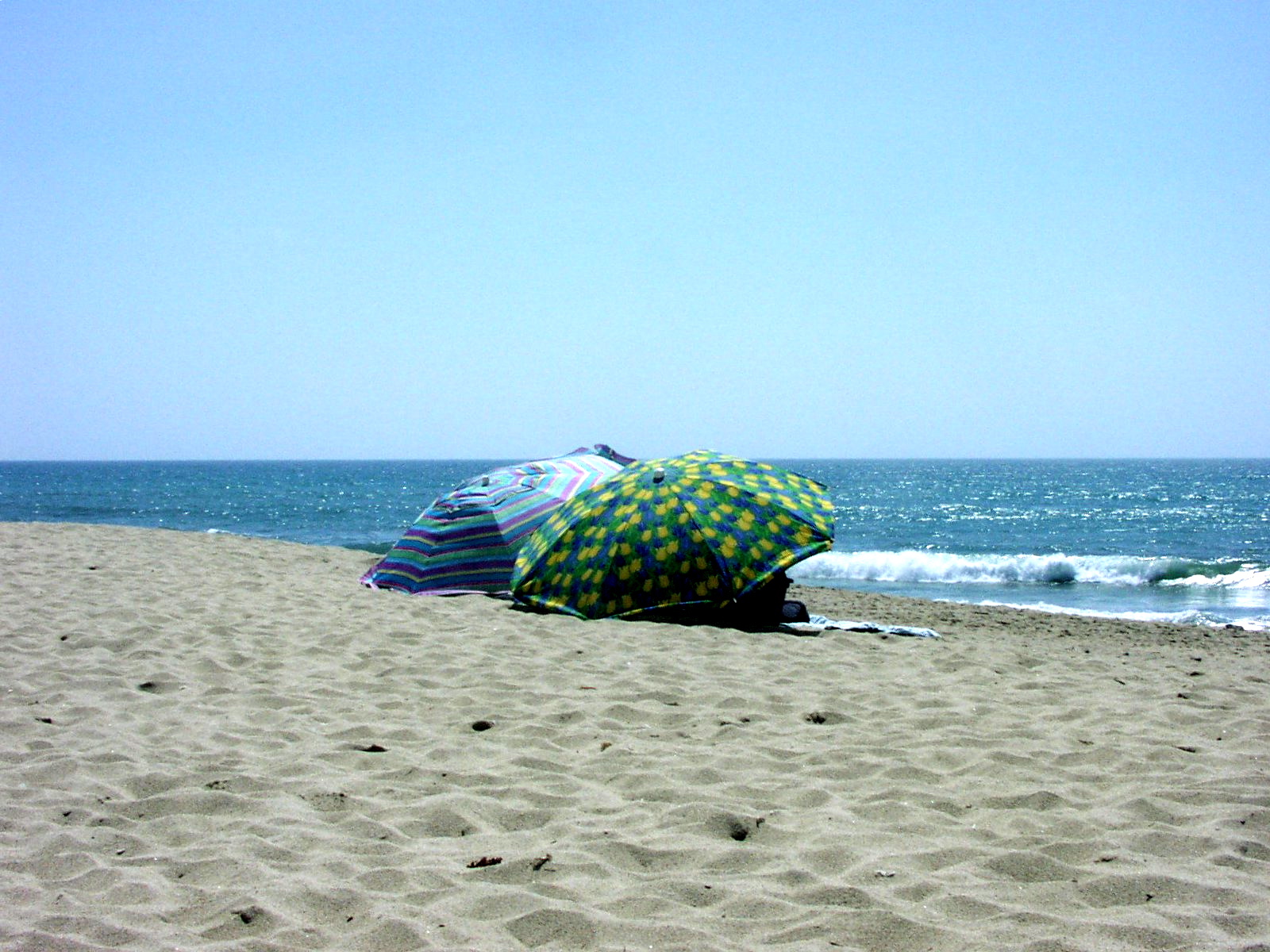 Beach Umbrellas