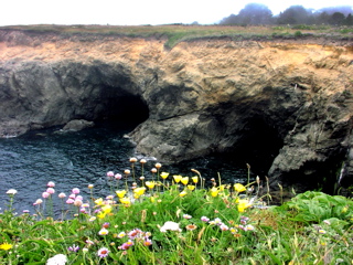 Mendocino Headlands