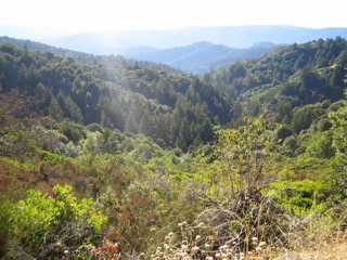 Valley Near Castle Rock