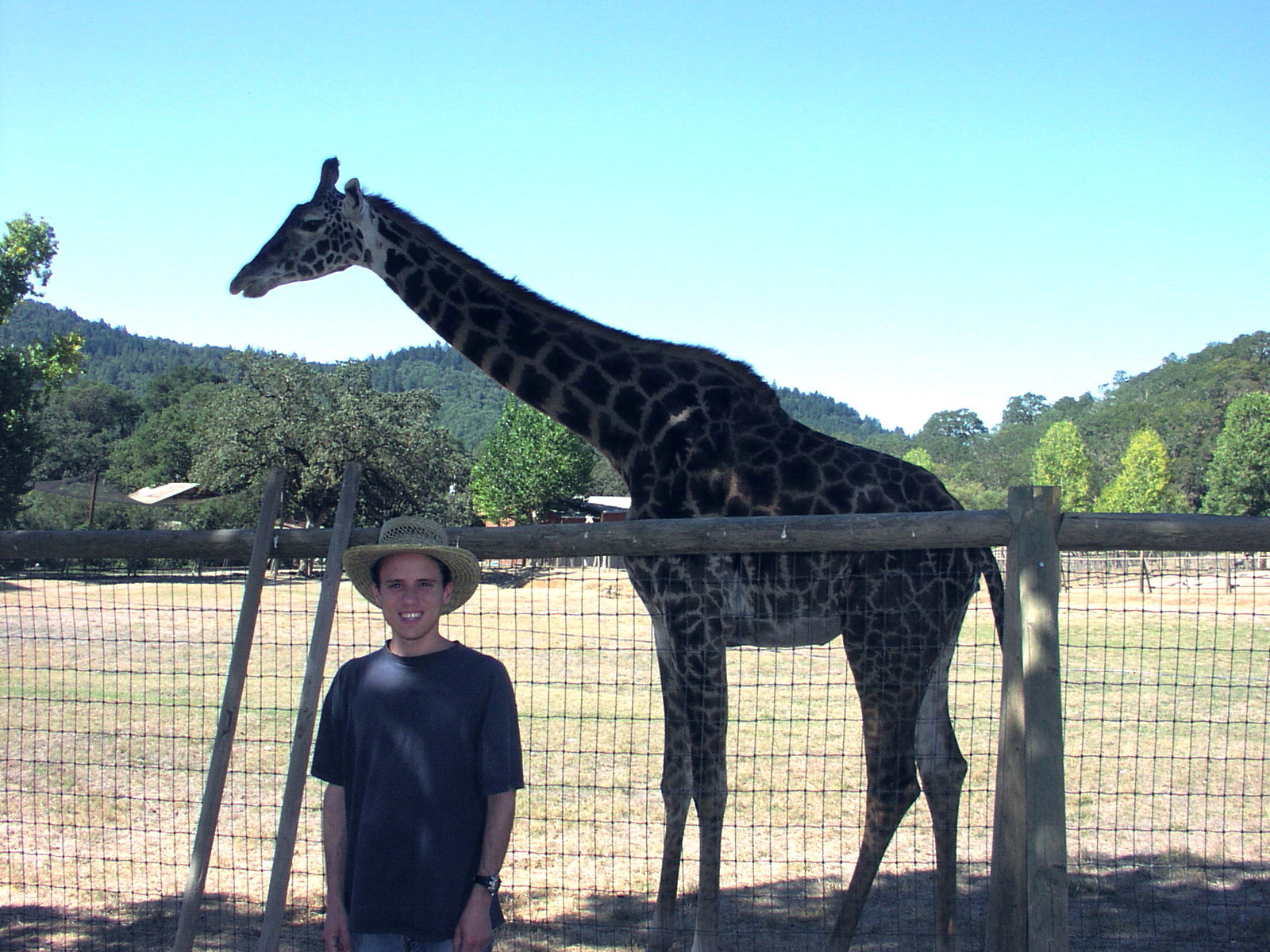 Edwin and Giraffe